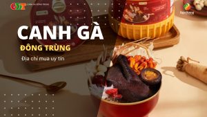 Địa Chỉ Bán Canh Gà Đông Trùng Uy Tín