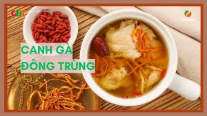 Nguồn Gốc Của Đông Trùng Làm Món Canh Gà Đông Trùng